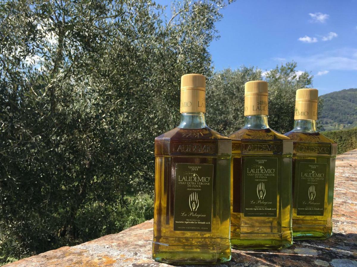 Palagina La Dimora Figline Valdarno