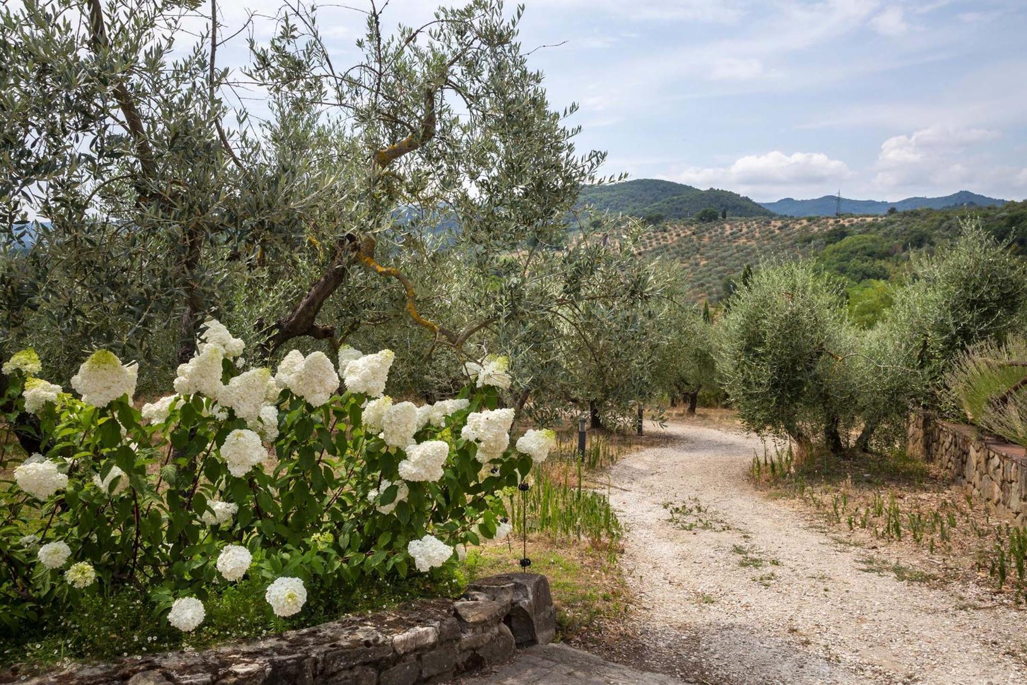 Palagina La Dimora Figline Valdarno